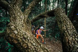 BIB: 
                            <button type="button" onclick="openModal(25389721)" class="btn btn-primary btn-sm float-right btn-popup" data-toggle="modal" data-target=".modal-high-quality">
                        <i class="fas fa-shopping-cart"></i> Add to Cart
                    </button>
                                            <button type="button" onclick="isThisMe(25389721, true)" class="btn btn-success btn-sm float-right btn-popup btn-isme hidden" data-toggle="tooltip" data-placement="bottom" title="นี่คือรูปของคุณใช่ไหม คลิกที่นี่เพื่อเอาเข้าอัลบั้ม">
                        <i class="fas fa-plus"></i> Add to album
                    </button>
                    <button type="button" onclick="isThisMe(25389721, false)" class="btn btn-warning btn-sm float-right btn-popup btn-isnotme hidden">
                        <i class="fas fa-ban"></i> Remove from album
                    </button>